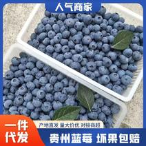 【精品推荐】贵州精品蓝莓产地直发！微电商对接，一件代发