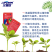 含氨基酸水溶肥生根提苗健壮植株叶绿叶厚美果靓果价格低