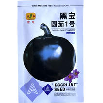 黑宝圆茄子早熟大果型杂交高产抗病油亮基地品种