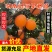 湖南怀化纽荷尔脐橙，现大量上市价格实惠，对接商超电商各大市场