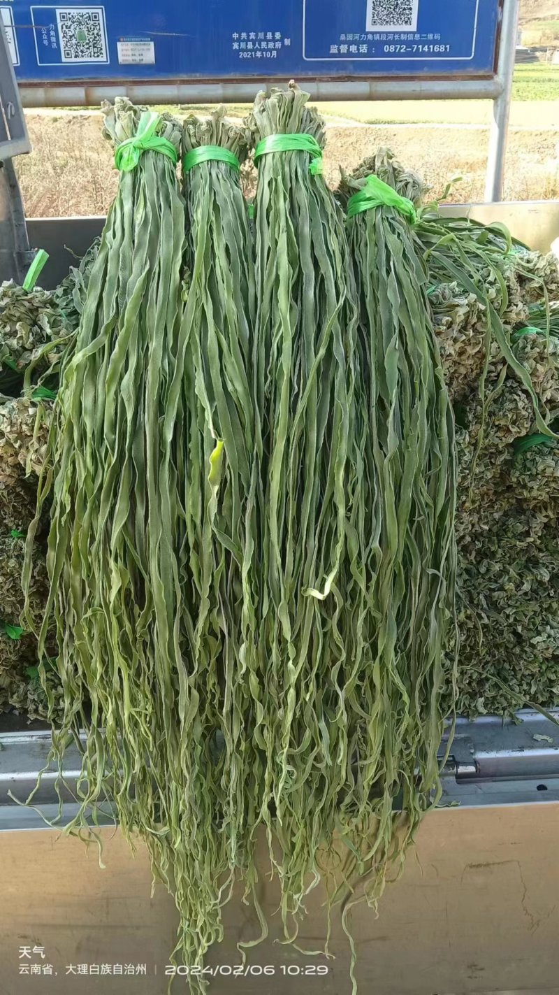 原产地直销精品贡菜干货量充足价格优惠保质保量欢迎咨询