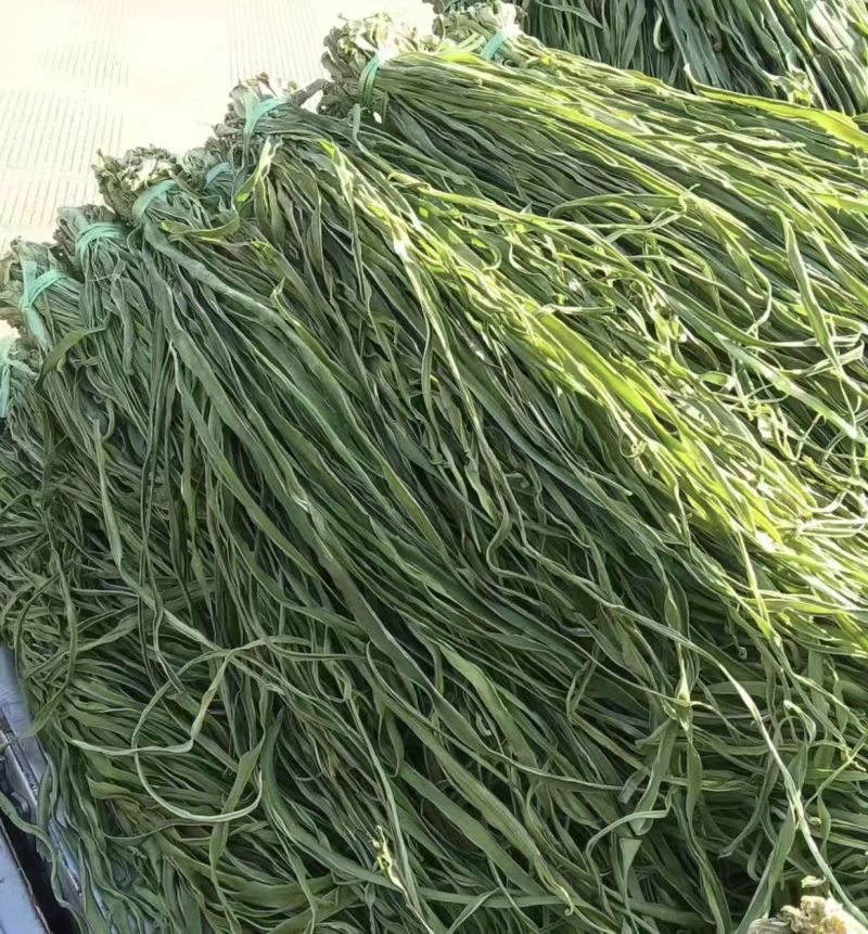 原产地直销精品贡菜干货量充足价格优惠保质保量欢迎咨询