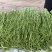 原产地直销精品贡菜干货量充足价格优惠保质保量欢迎咨询