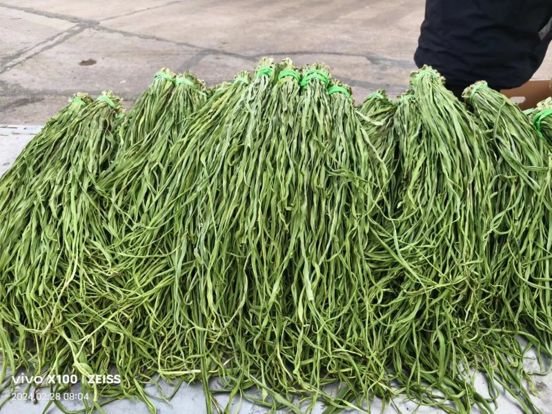 原产地直销精品贡菜干货量充足价格优惠保质保量欢迎咨询