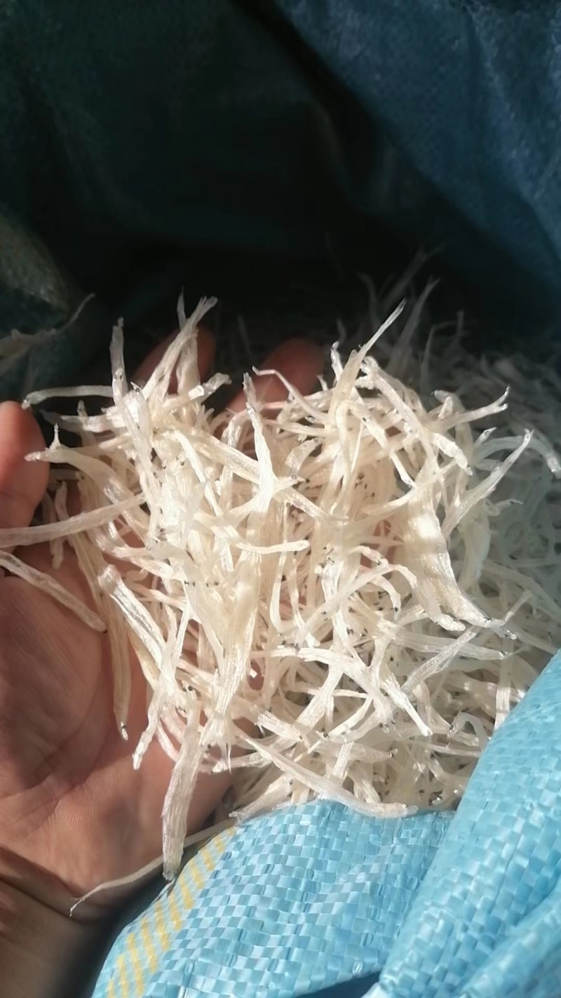 【牛商优选】精品银鱼干产地批发一手货源品质保证电联