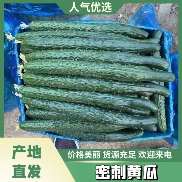 黄瓜大量上市中，货源充足，产地直供，专业代收代发。