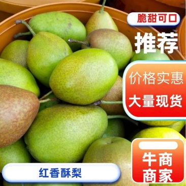 【精品红香酥梨】河北产地直发汁多味甜一手货源价格优