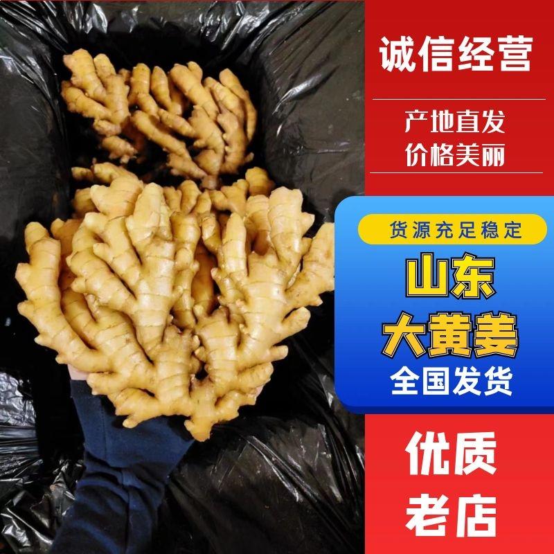 山东大黄姜，产地批发一手货源，价格优惠，支持全国发货