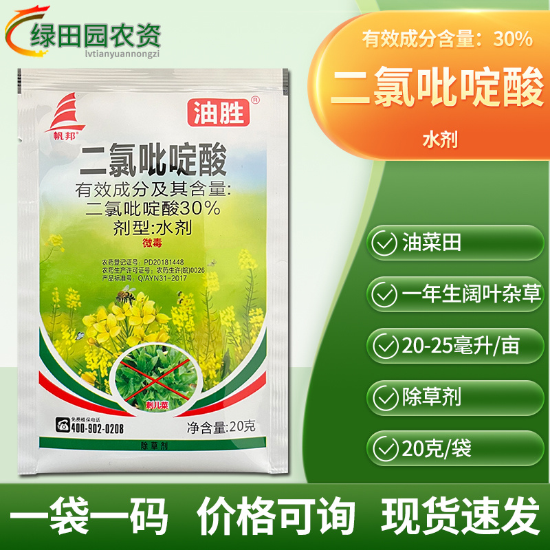油胜30%二氯吡啶酸水剂油菜田鬼针草苣荬菜刺儿菜专用除草