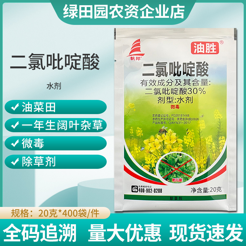 油胜30%二氯吡啶酸水剂油菜田鬼针草苣荬菜刺儿菜专用除草