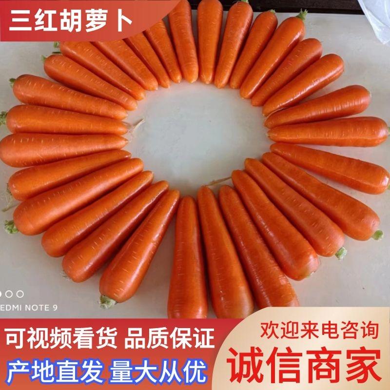 【热卖】开封胡萝卜三红胡萝卜3两以上水洗按需包装