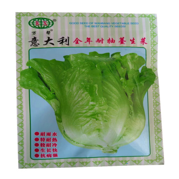 意大利生菜种子意大利全年耐抽薹生菜种子耐雨水特耐热