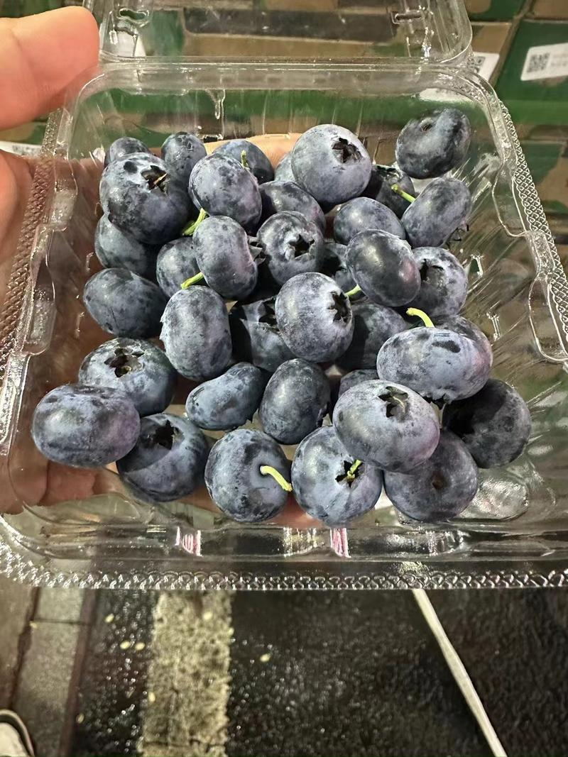 【一件代发】产地蓝莓供应一手货源保质保量货源充足