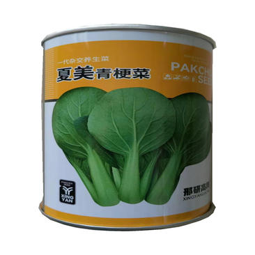 小白菜种子夏美青梗菜种子抗抽苔较抗病抗热耐雨水100克