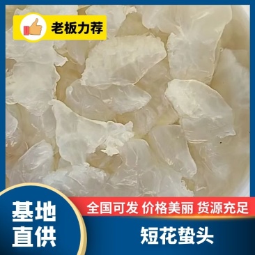 广东白花叶片，一手货源，库存量大，欢迎电商微商团购！