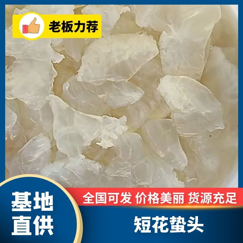 广东白花叶片，一手货源，库存量大，欢迎电商微商团购！