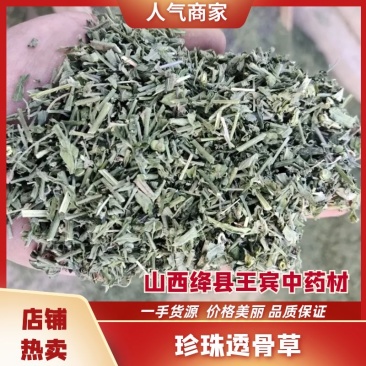 珍珠透骨草颜色青刀工好过筛过沫子一手货源，包检。