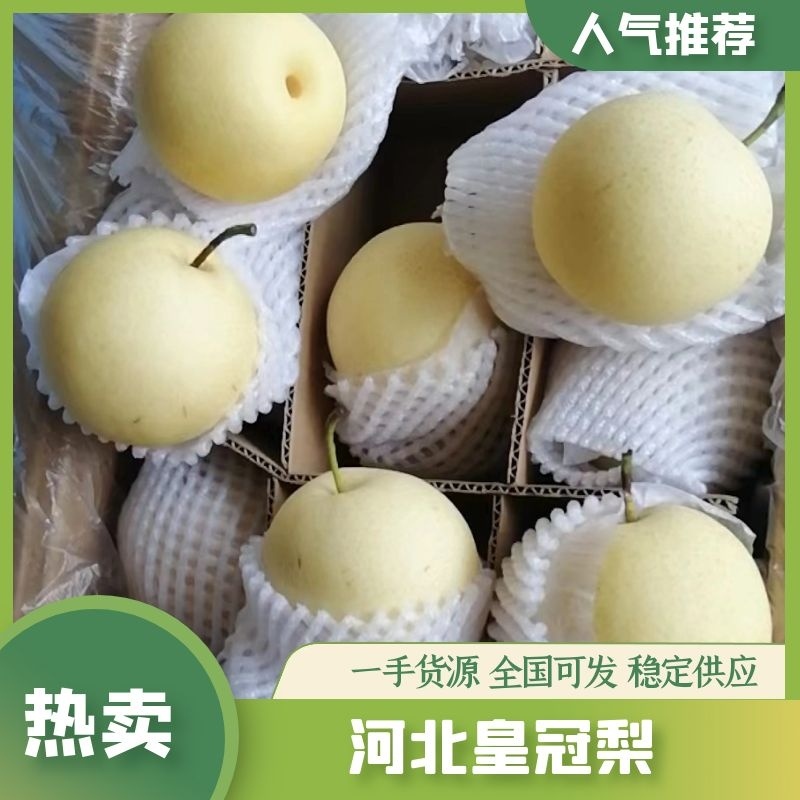 河北【皇冠梨】水晶梨箱装筐装规格齐全产地直发