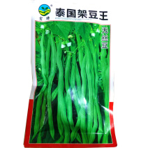泰国无筋架豆种子无筋架豆王无丝豆春季荚长肉厚四季豆角
