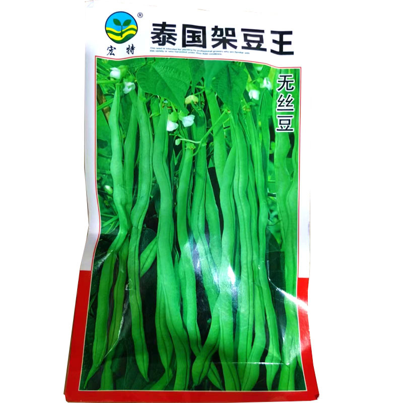 泰国无筋架豆种子无筋架豆王无丝豆春季荚长肉厚四季豆角