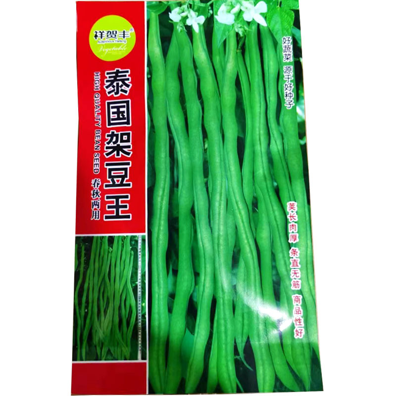泰国无筋架豆种子无筋架豆王无丝豆春季荚长肉厚四季豆角