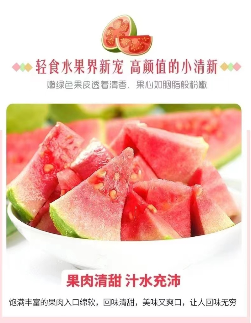 红心芭乐广东精品产地直销质量保证欢迎各位老板服务商联系
