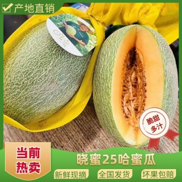 【哈密瓜】广西北海小蜜25号皮薄多汁对接全国市场电商