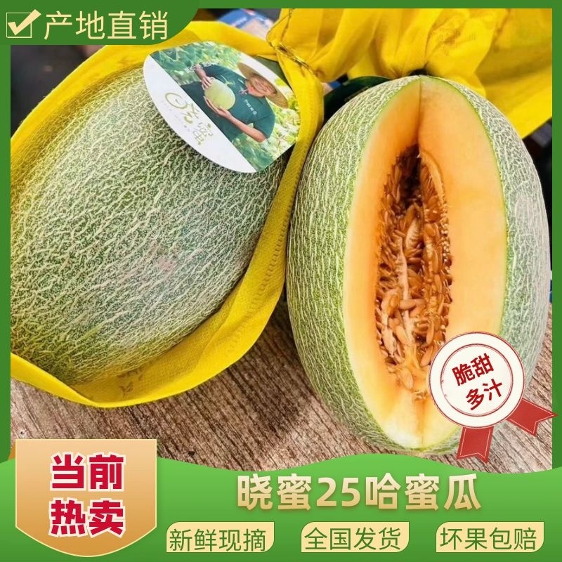 【哈密瓜】广西北海小蜜25号皮薄多汁对接全国市场电商