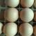 粉壳纯粮散养土鸡蛋，一手货源，品质保证，欢迎来电咨询