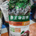 魔芋款微生物菌剂土壤调理剂有机肥广西肥料厂家批发