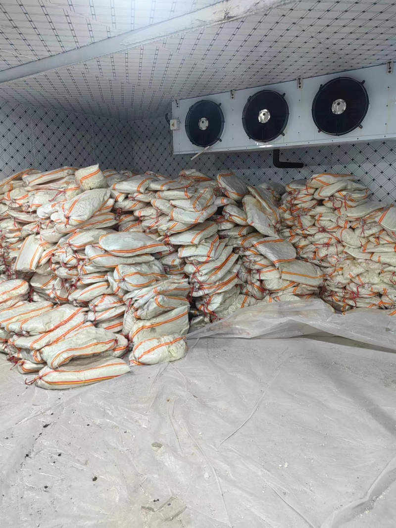 山西工厂直销精品奶渣一手货源价格优惠可实地考察欢迎咨询