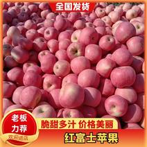 【一件代发】陕西精品苹果冰糖心苹果对接社区团购电联