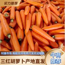 【精品】水洗胡萝卜【支持】电商市场，产地直供，全国发货！