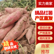 【推荐】开封红薯西瓜红龙九，烟薯品种齐全全国发货