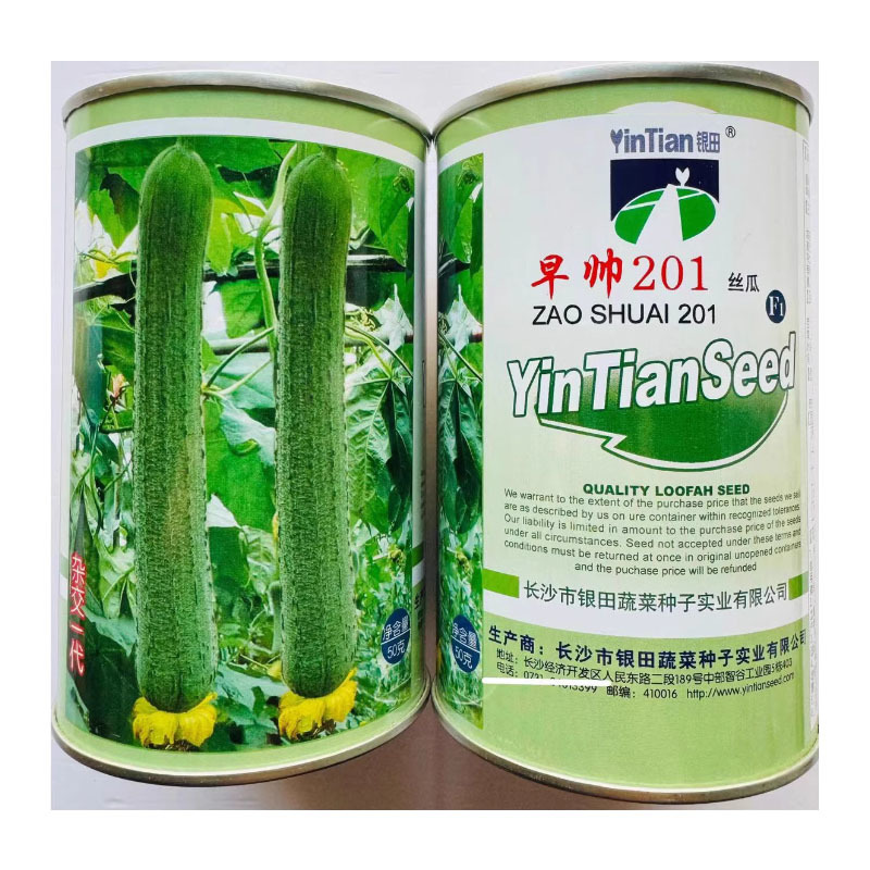 早帅201长肉丝瓜种子早熟瓜条匀直薇皱露地大田种植