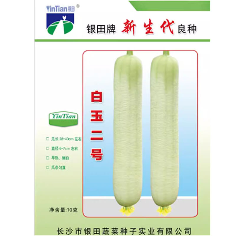 香白玉肉丝瓜种子白玉一号高产早熟春夏种植南方水瓜