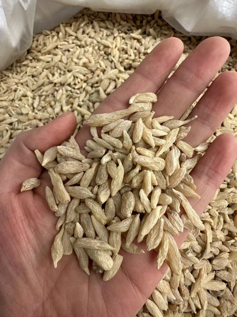 精品川麦冬无熏染可泡水可煲汤无硫批发零售各种规格中药材