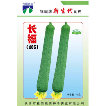 长福406丝瓜种子早熟一代杂交瓜条匀直肉质嫩软味微甜抗性