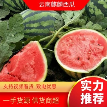 【西瓜】广东雷州麒麟西瓜爆甜多汁口感清凉现摘现发高端