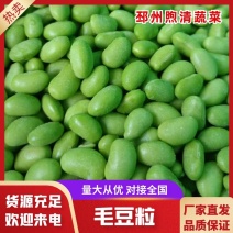 冻毛豆仁毛豆粒厂家直供全国发货量大价优价格来电详谈