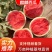 广东雷州西瓜现采现发量大从优一手货源