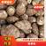 芋头优质8520芋头大量上市产地直供货源充足欢迎咨询