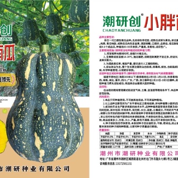 口感型小胖花生南瓜种子