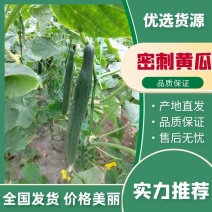 鲜黄瓜黑条密刺黄瓜，油亮青瓤青肉，每天走10万斤基地直销