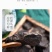 何首乌何首乌片泡水泡酒煲汤可帮磨何首乌粉