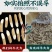 广西野生牛大力薯粉质干货牛大力煲汤泡酒新鲜牛大力根