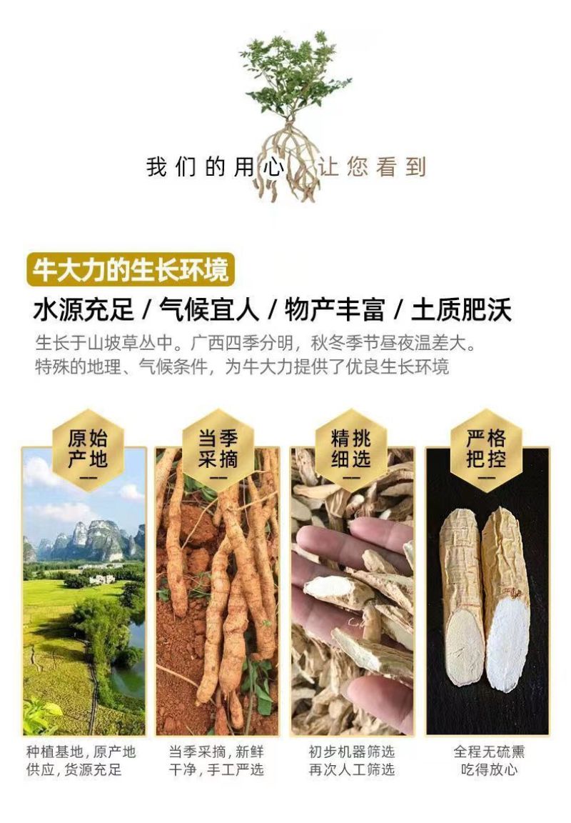 广西野生牛大力薯粉质干货牛大力煲汤泡酒新鲜牛大力根