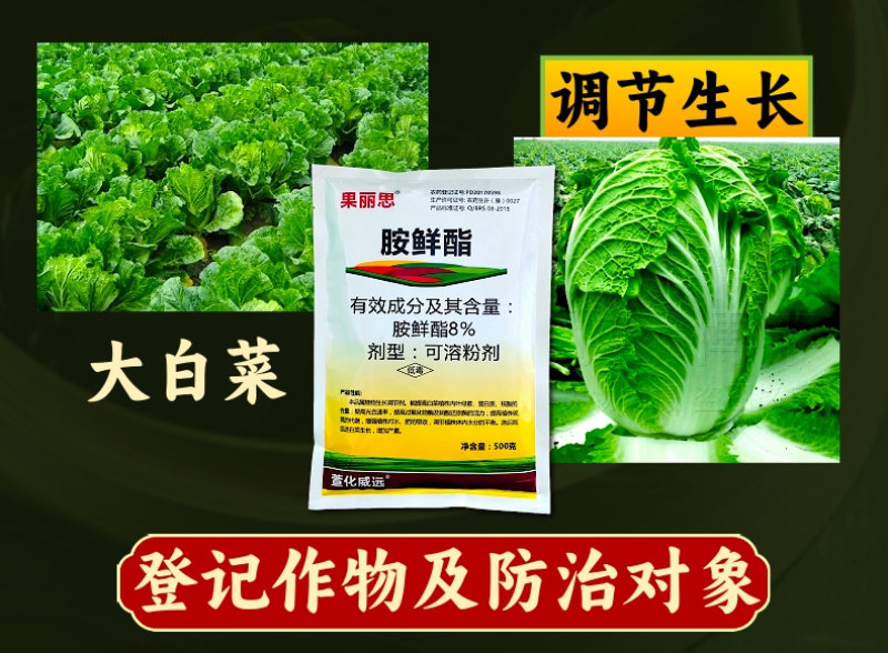 8%胺鲜酯温度低活性高脱青上色转色均匀提高叶绿素光合作用