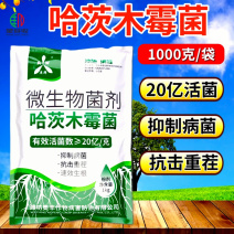 奥丰20亿哈茨木霉菌快速生根抗重茬保护根系防病害