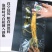 新鲜湿参保鲜参东北特产人参酒滋补品泡酒